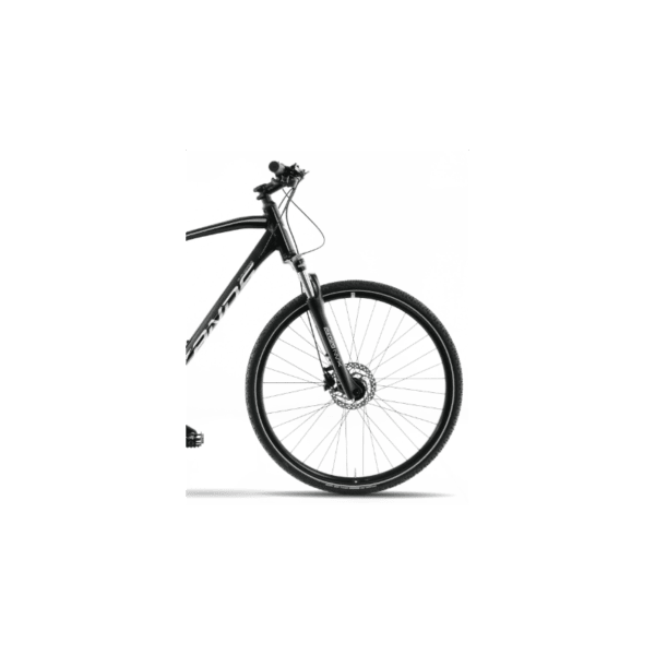 KANDS AVANGARDE CUES Herrenfahrrad 19'' Rahmen Schwarz 2024 – Bild 4