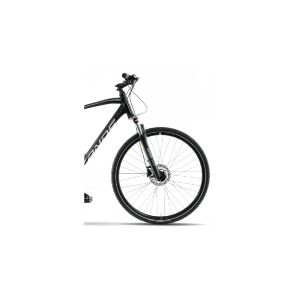 KANDS AVANGARDE CUES Herrenfahrrad 21'' Rahmen Schwarz 2024 – Bild 4